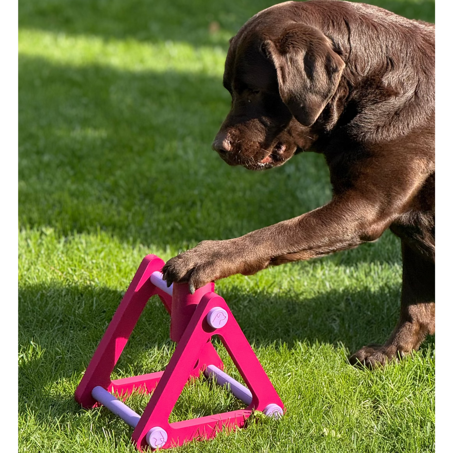 Hund Spin & Treat – interaktywna zabawka na przysmaki dla psa