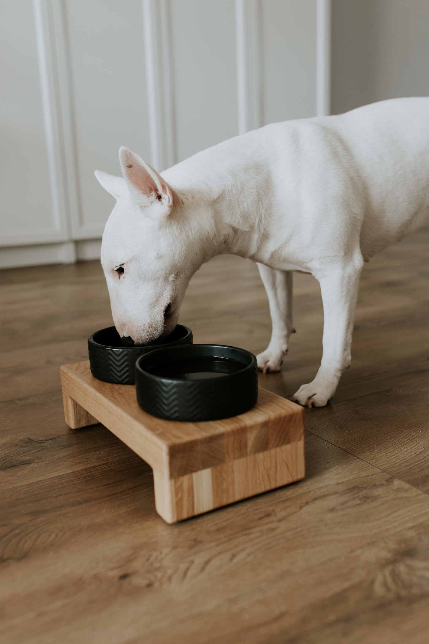 Futternapfständer aus Massivholz für Hunde