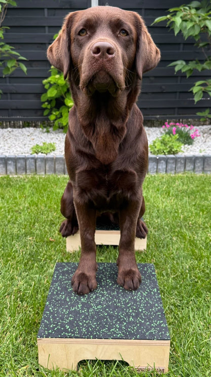 Hund Step & Train - drewniany podest treningowy dla psa