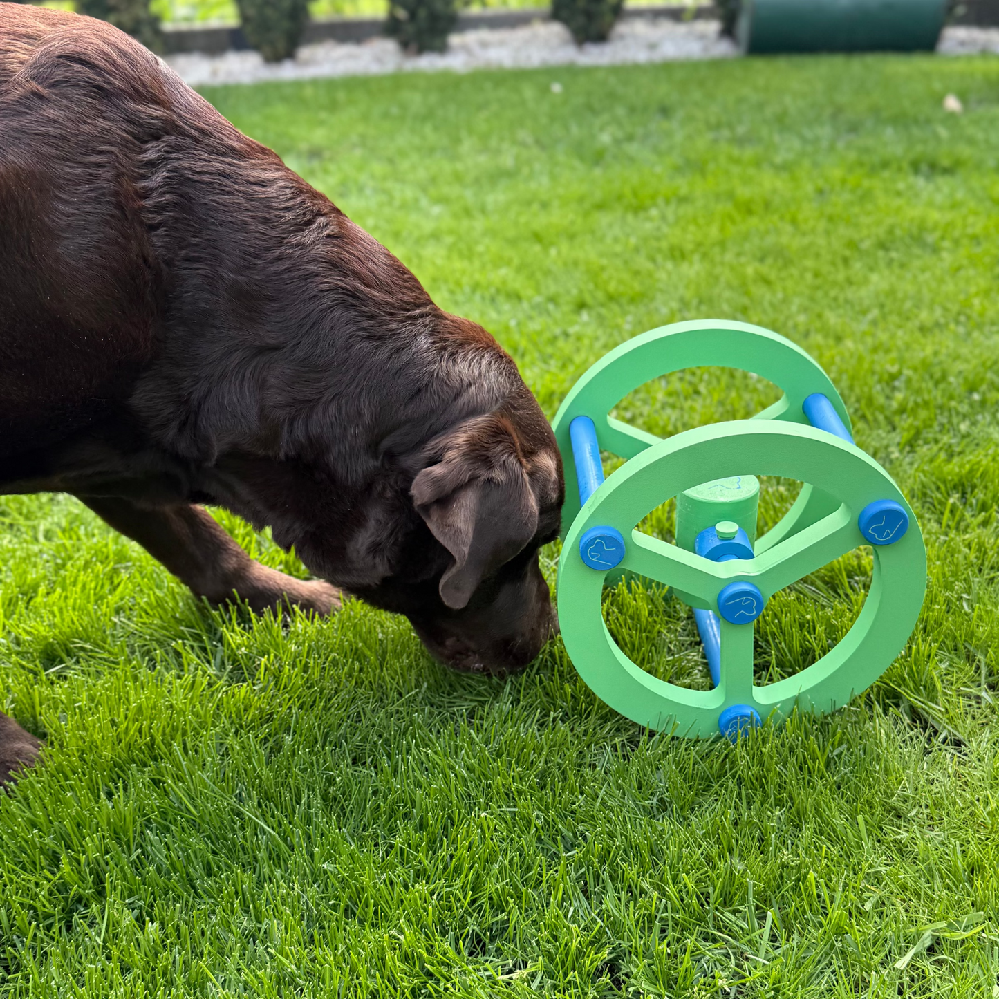 Hund Roll & Treat – interaktywna zabawka na przysmaki dla psa