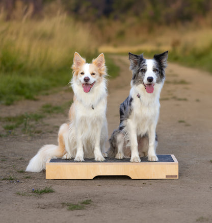 Hund Step & Train – Trainingspodest aus Holz für Hunde
