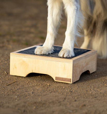 Hund Step & Train – Trainingspodest aus Holz für Hunde